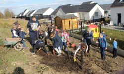 Plantations Cavalier   038